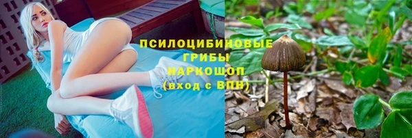 не бодяженный Алексин